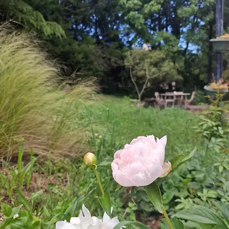 アパート En Rez-de-chaussee De Maison