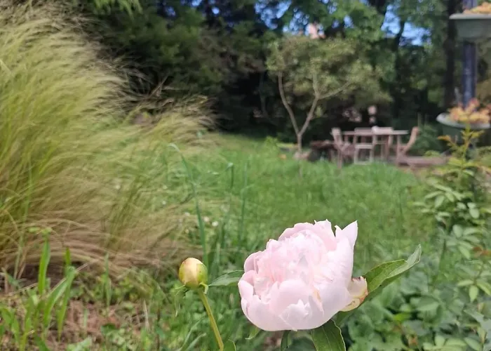 Apartmán En Rez-de-chaussee De Maison